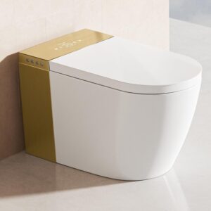 Image 1 of BONSAM smart toilet review