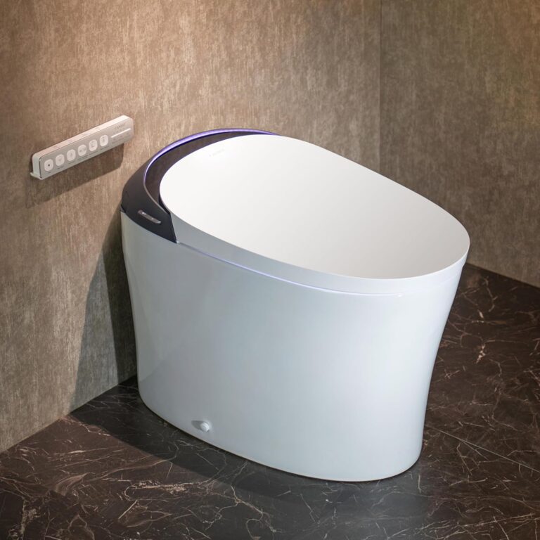Image 1 of CANEST FC-001PRO smart toilet review