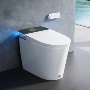 Image 1 of HOROW artistic bidet toilet review