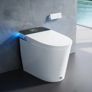 Image 1 of HOROW artistic bidet toilet review