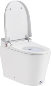 Image 1 of OVE Decors Clarke smart toilet review