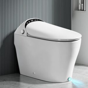 Image 1 of Royalbath smart toilet review