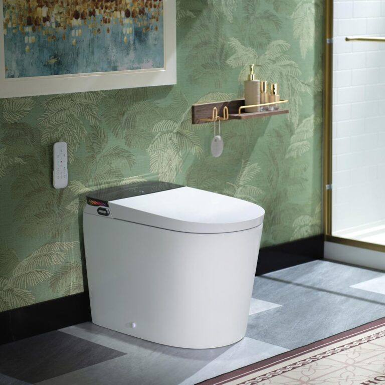 Image 1 of WOODBRIDGE GT076 smart toilet review