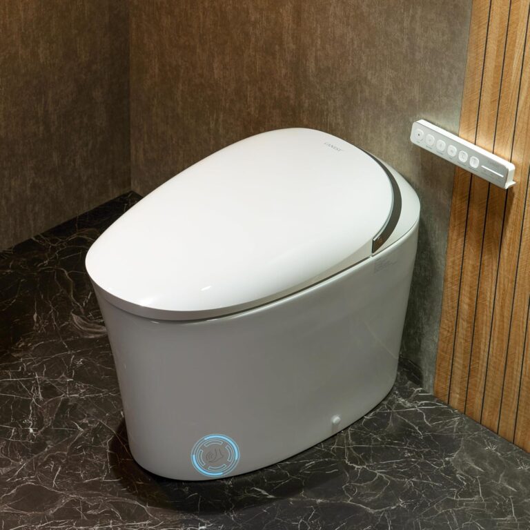 CANEST Smart Toilet Review: Honest Pros & Cons 44 Image 1 of CANEST smart toilet review