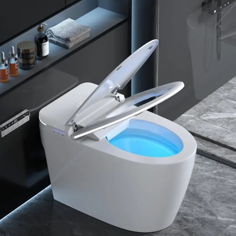Image 1 of Loupusuo smart toilet review
