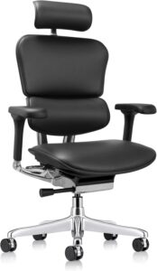 Image 1 of Ergohuman Eurotech LE9ERG review