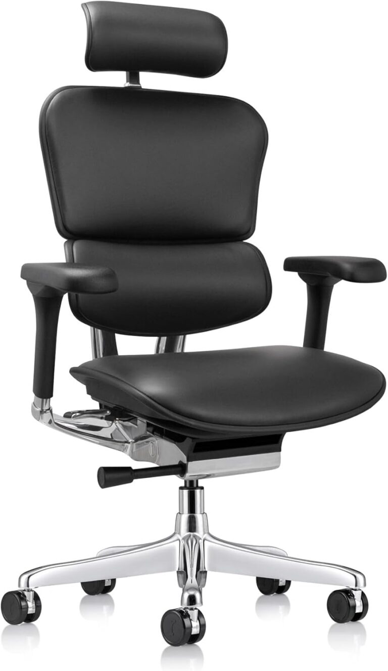 Ergohuman Eurotech LE9ERG Review: Honest Pros & Cons 6 Image 1 of Ergohuman Eurotech LE9ERG review