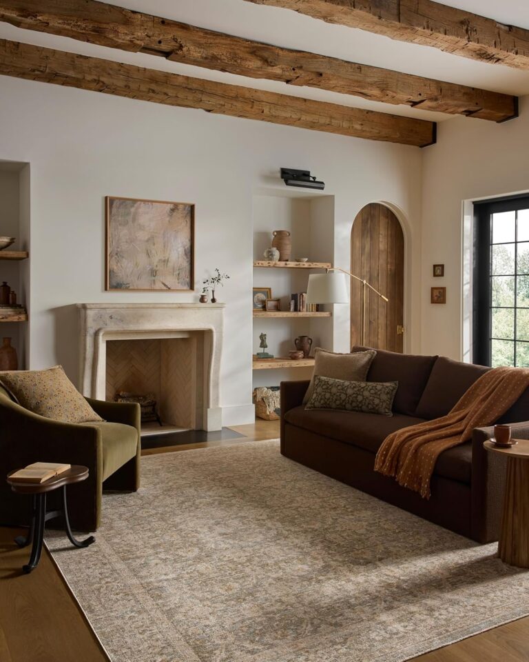Loloi Elora Rug Review: Honest Pros & Cons 11 Image 1 of Loloi Elora rug review