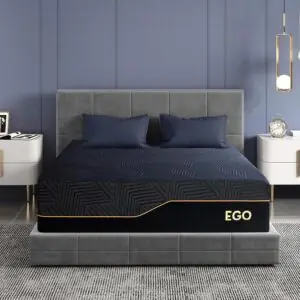 Image 1 of MLILY EGOHOME King mattress review