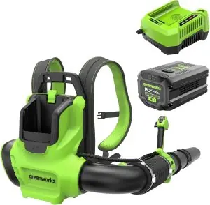 Image 1 of Greenworks backpack leaf blower review