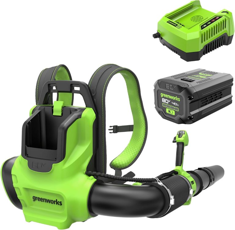 Image 1 of Greenworks backpack leaf blower review