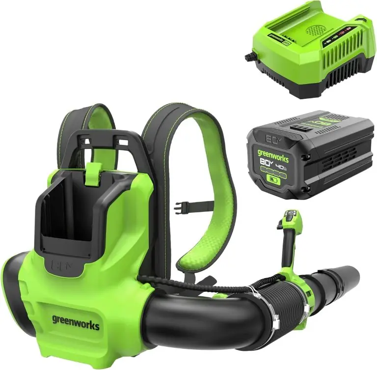 Image 1 of Greenworks backpack leaf blower review
